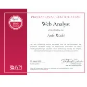 Web Analyst Zertifikat für Webanalyse und Performance Anis Riahi Webdesigner